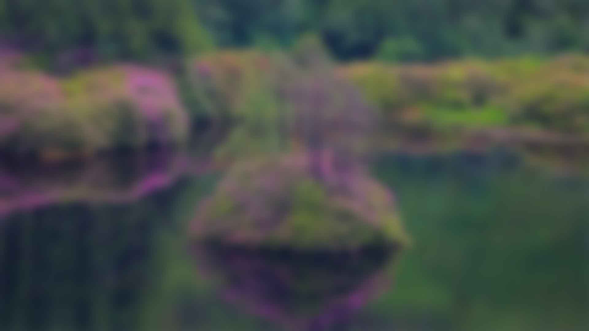 健身：拥抱好色视频在线下载与活力的生活方式