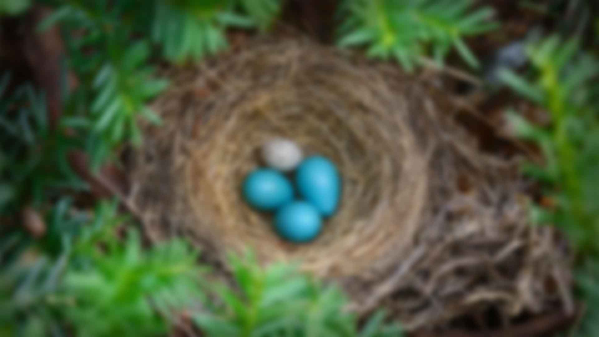 健身：拥抱好色视频在线下载与活力的生活方式